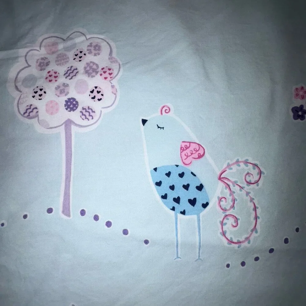 Pottery Barn Kids Birdie Duvet Cover Full/Queen Organic Cotton Blue & Pink